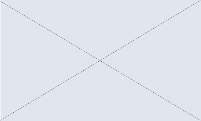 Image example